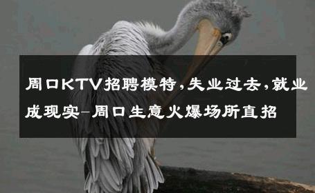 周口KTV招聘模特,失业过去,就业成现实-周口生意火爆场所直招
