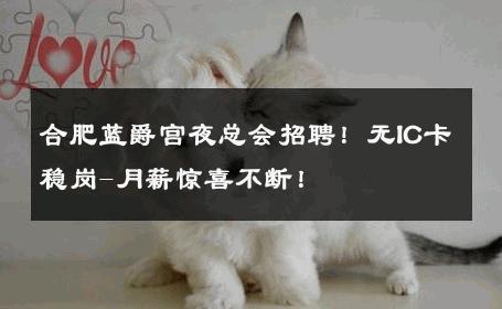 合肥蓝爵宫夜总会招聘！无IC卡稳岗-月薪惊喜不断！ 