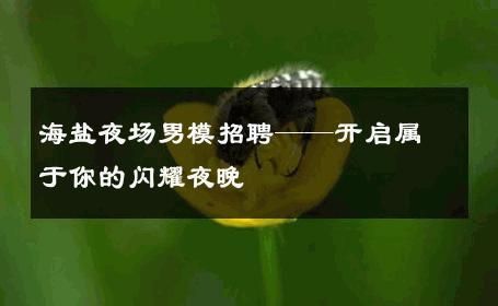 海盐夜场男模招聘——开启属于你的闪耀夜晚 