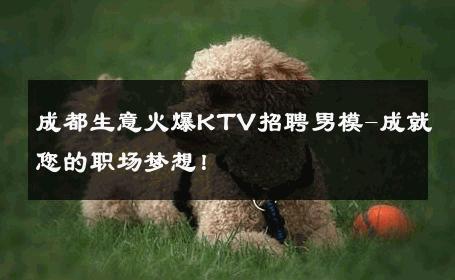 成都生意火爆KTV招聘男模-成就您的职场梦想！ 