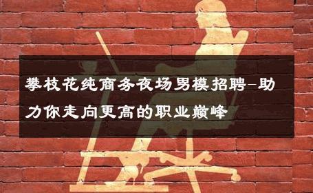 攀枝花纯商务夜场男模招聘-助力你走向更高的职业巅峰 