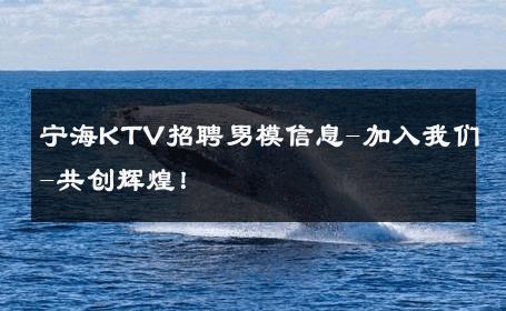 宁海KTV招聘男模信息-加入我们-共创辉煌！ 