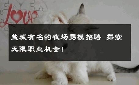 盐城有名的夜场男模招聘-探索无限职业机会！ 