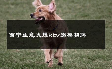 西宁生意火爆ktv男模招聘 