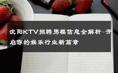 沈阳KTV招聘男模信息全解析-开启你的娱乐行业新篇章 