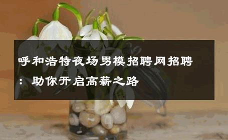 呼和浩特夜场男模招聘网招聘：助你开启高薪之路 