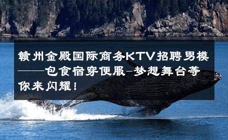 赣州金殿国际商务KTV招聘男模——包食宿穿便服-梦想舞台等你来闪耀！ 