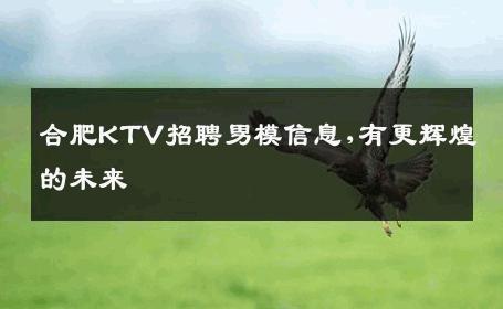 合肥KTV招聘男模信息,有更辉煌的未来 