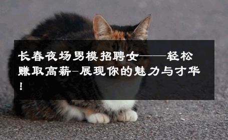 长春夜场男模招聘女——轻松赚取高薪-展现你的魅力与才华！ 