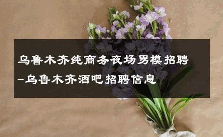 乌鲁木齐纯商务夜场男模招聘-乌鲁木齐酒吧招聘信息 
