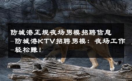 防城港正规夜场男模招聘信息-防城港KTV招聘男模：夜场工作-轻松赚！ 
