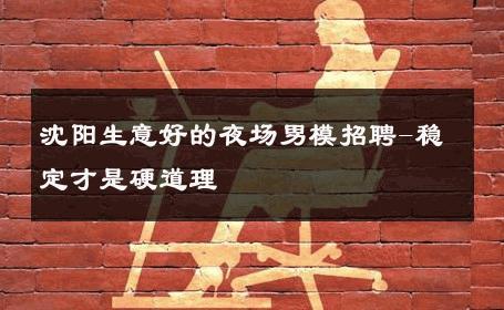 沈阳生意好的夜场男模招聘-稳定才是硬道理 