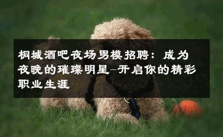 桐城酒吧夜场男模招聘：成为夜晚的璀璨明星-开启你的精彩职业生涯 