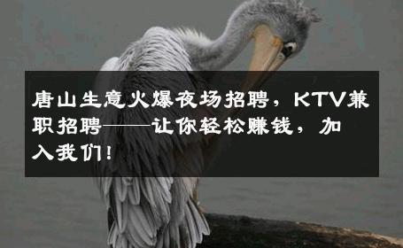 唐山生意火爆夜场招聘，KTV兼职招聘——让你轻松赚钱，加入我们！