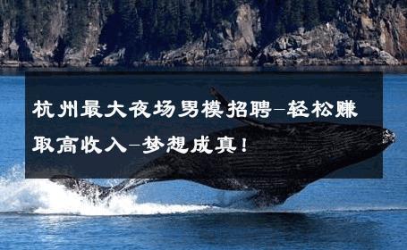 杭州最大夜场男模招聘-轻松赚取高收入-梦想成真！ 