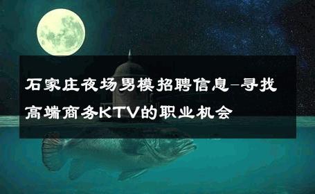 石家庄夜场男模招聘信息-寻找高端商务KTV的职业机会 