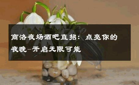 商洛夜场酒吧直招：点亮你的夜晚-开启无限可能 