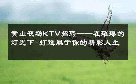 黄山夜场KTV招聘——在璀璨的灯光下-打造属于你的精彩人生 