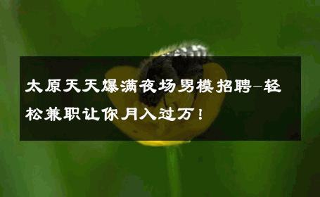 太原天天爆满夜场男模招聘-轻松兼职让你月入过万！ 