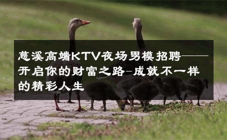 慈溪高端KTV夜场男模招聘——开启你的财富之路-成就不一样的精彩人生 