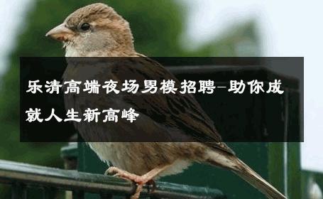 乐清高端夜场男模招聘-助你成就人生新高峰 