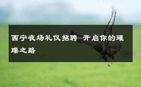 西宁夜场礼仪招聘-开启你的璀璨之路 