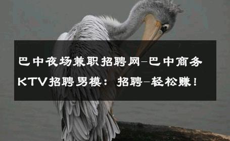 巴中夜场兼职招聘网-巴中商务KTV招聘男模：招聘-轻松赚！ 
