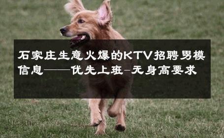 石家庄生意火爆的KTV招聘男模信息——优先上班-无身高要求 