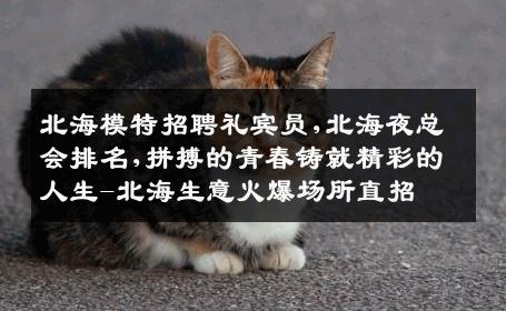 北海模特招聘礼宾员,北海夜总会排名,拼搏的青春铸就精彩的人生-北海生意火爆场所直招