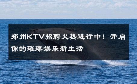 郑州KTV招聘火热进行中！开启你的璀璨娱乐新生活 