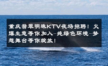 重庆翡翠明珠KTV夜场招聘！火爆生意等你加入-纯绿色环境-梦想舞台等你绽放！ 