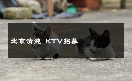 北京清纯 KTV招募 