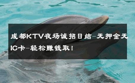 成都KTV夜场诚招日结-无押金无IC卡-轻松赚钱取！ 