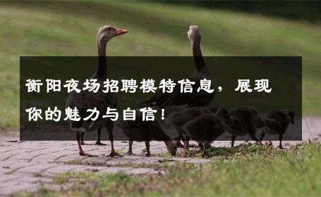衡阳夜场招聘模特信息，展现你的魅力与自信！