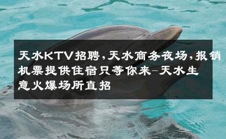 天水KTV招聘,天水商务夜场,报销机票提供住宿只等你来-天水生意火爆场所直招