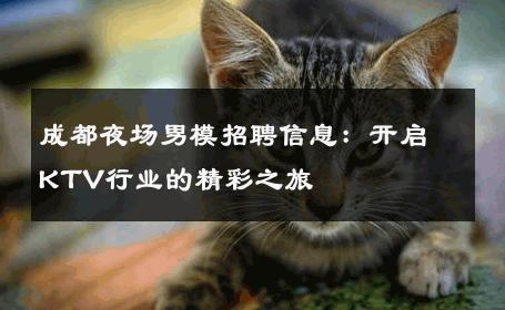 成都夜场男模招聘信息：开启KTV行业的精彩之旅 