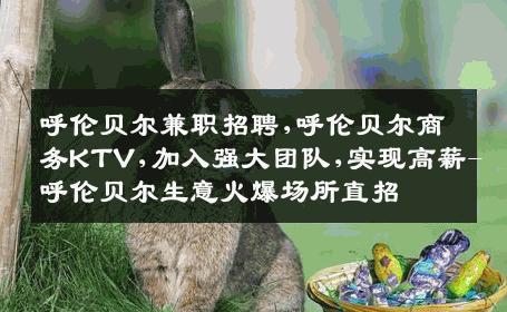 呼伦贝尔兼职招聘,呼伦贝尔商务KTV,加入强大团队,实现高薪-呼伦贝尔生意火爆场所直招