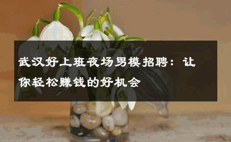 武汉好上班夜场男模招聘：让你轻松赚钱的好机会 