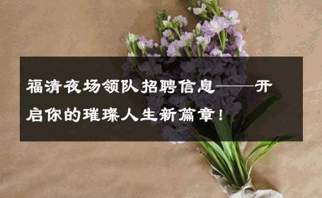福清夜场领队招聘信息——开启你的璀璨人生新篇章！ 