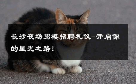 长沙夜场男模招聘礼仪-开启你的星光之路！ 
