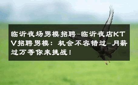 临沂夜场男模招聘-临沂夜店KTV招聘男模：机会不容错过-月薪过万等你来挑战！ 