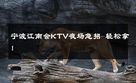 宁波江南会KTV夜场急招-轻松拿！ 