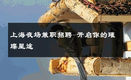 上海夜场兼职招聘-开启你的璀璨星途 