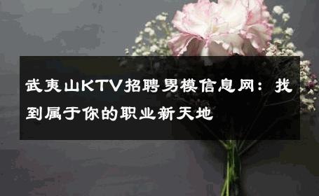 武夷山KTV招聘男模信息网：找到属于你的职业新天地 