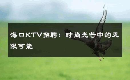 海口KTV招聘：时尚光芒中的无限可能 