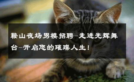 鞍山夜场男模招聘-走进光辉舞台-开启您的璀璨人生！ 