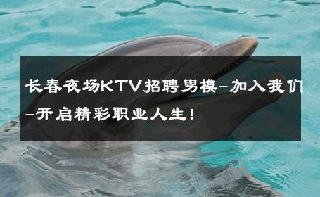 长春夜场KTV招聘男模-加入我们-开启精彩职业人生！ 