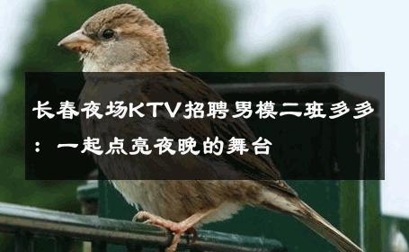 长春夜场KTV招聘男模二班多多：一起点亮夜晚的舞台 