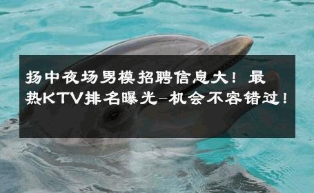 扬中夜场男模招聘信息大！最热KTV排名曝光-机会不容错过！ 