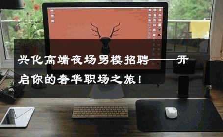 兴化高端夜场男模招聘——开启你的奢华职场之旅！ 